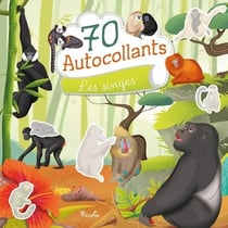 Lot de 70 autocollants - Les Singes