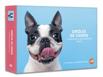 Agenda - calendrier drôles de chiens 2023