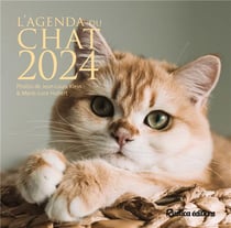 Agenda 2024 - 14,2 x 14,6 cm - L'agenda du chat