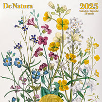 Calendrier 2025 Editions du Désastre - Natura - 30 x 30 cm