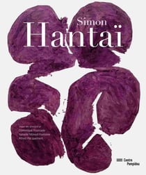 Simon Hantaï