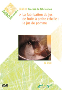 La fabrication de jus de fruits à petite