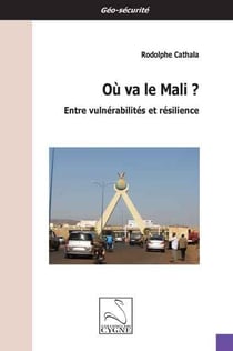 Ou va le mali ? entre vulnerabilites et resilience
