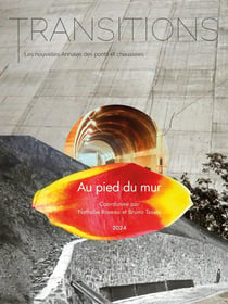 Transitions, les nouvelles Annales des ponts et chaussées n.4 : Au pied du mur : Imaginer les futurs socio-écologiques