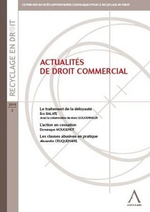 Actualites de droit commercial