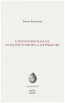 David foster wallace et les pouvoirs de la litterature