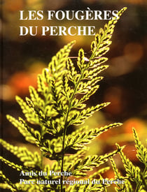Les fougères et autres ptéridophytes du perche