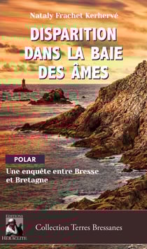 Disparition dans la baie des âmes - une enquete entre bresse et bretagne