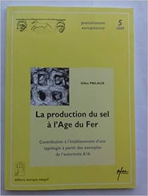 La production du sel a l'age du fer