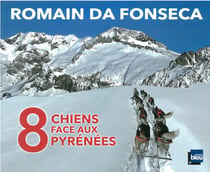 8 chiens face aux pyrenees