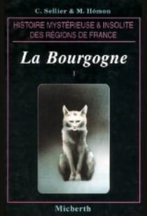 La bourgogne insolite