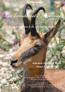 Les bovides et l'homme - des origines a la domestication