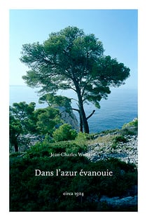 Dans l'azur evanouie