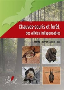 Chauves-souris et forêt, des alliées indispensables