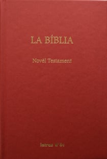 La biblia novel testament