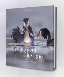 L'étang neuf de Juvigne