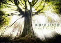 Lumieres de broceliande