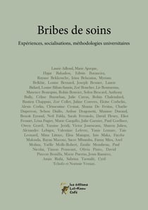 Bribes de soins - experiences, socialisations, methodologies universitaires