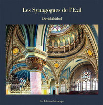 Les synagogues de l'exil - Des synagogues en Europe