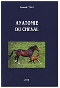 Anatomie du cheval - avec 1 Cédérom