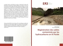 Regeneration des sables contamines par les hydrocarbures en lit fluide