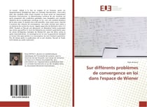 Sur differents problemes de convergence en loi dans l'espace de Wiener