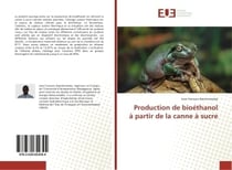 Production de bioethanol A partir de la canne A sucre