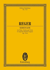 Trio g major op. 141a poche