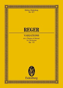 Variazioni e fuga su un tema di mozart op.132 poche
