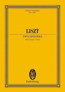 2 episodes after lenau's faust poche