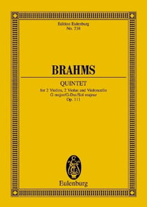 Quintetto op.111 sol poche