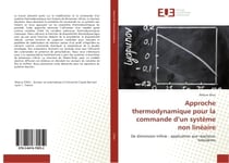 Approche thermodynamique pour la commande d'un systeme non lineaire : De dimension infinie : application aux reacteurs tubulaires