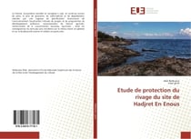 Etude de protection du rivage du site de Hadjret En Enous