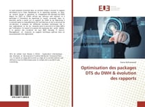 Optimisation des packages DTS du DWH & evolution des rapports : evaluation et quantification du risque de credit bancaire dans une banque marocaine
