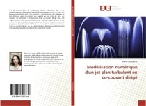 Modélisation numérique d'un jet plan turbulent en co-courant dirigé