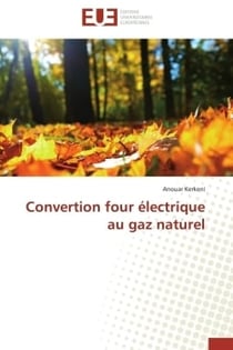 Convertion four electrique au gaz naturel