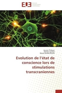 Evolution de l etat de conscience lors de stimulations transcraniennes