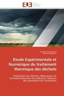 Etude experimentale et numerique du traitement thermique des dechets