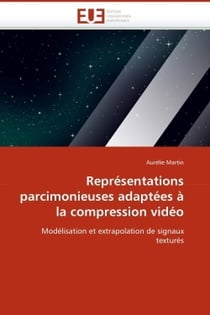 Representations parcimonieuses adaptees a la compression video
