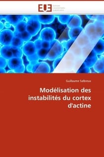 Modelisation des instabilites du cortex d'actine