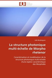 La structure photonique multi-echelle de morpho rhetenor