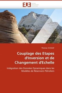 Couplage des etapes d'inversion et de changement d'echelle