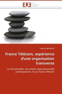 France telecom, experience d'une organisation transverse