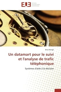 Un datamart pour le suivi et l'analyse de trafic telephonique