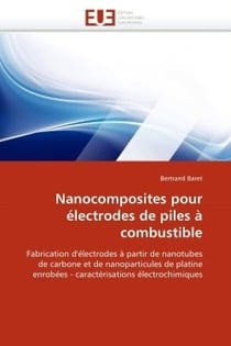 Nanocomposites pour electrodes de piles a combustible