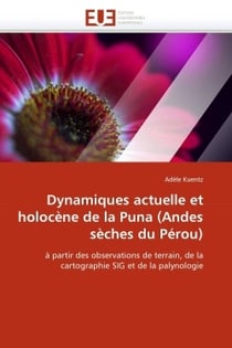 Dynamiques actuelle et holocene de la puna (andes seches du perou)
