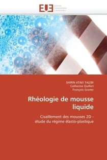 Rheologie de mousse liquide
