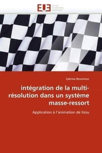 Integration de la multi-resolution dans un systeme masse-ressort