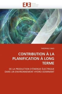 Contribution a la planification a long terme