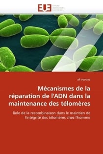 Mecanismes de la reparation de l'adn dans la maintenance des telomeres